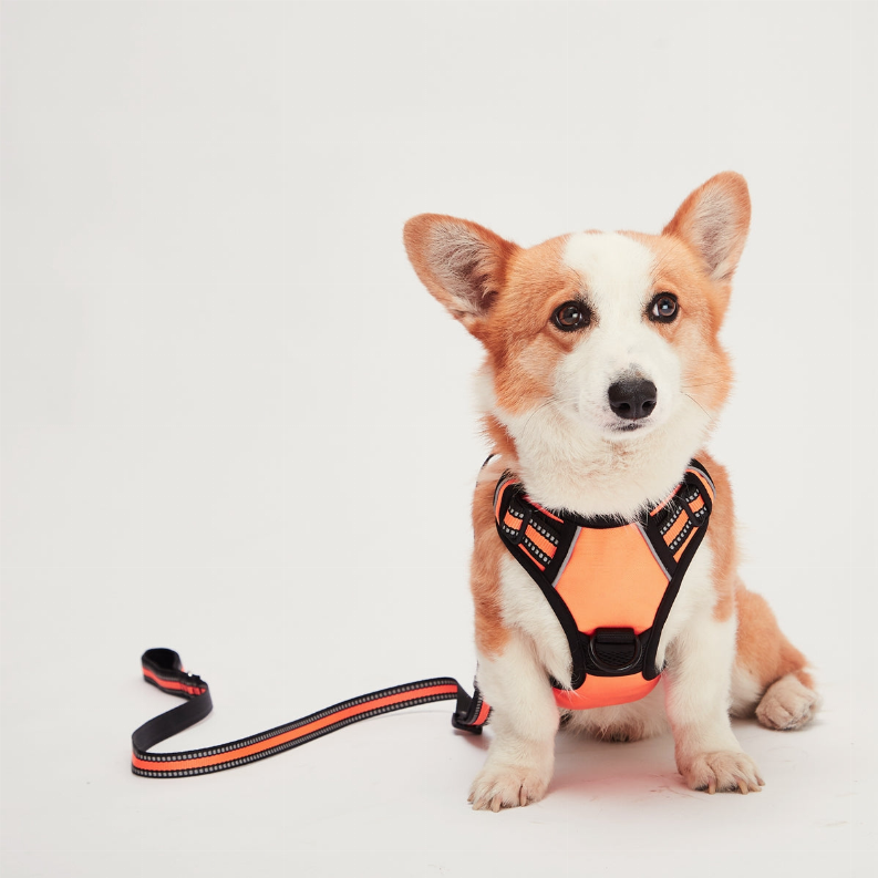 Mr. Peanut's PetTrek Reflective Pet Harness With Matching Leash