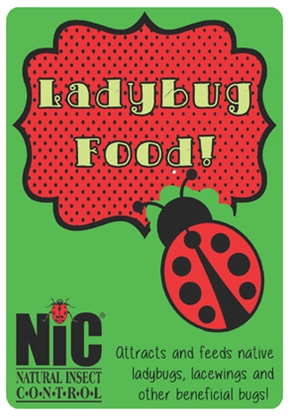 Ladybug Food