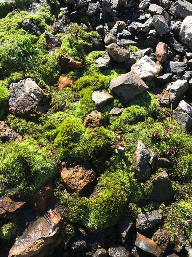 Green Mountain Moss Puzzle - Small - 10" x 13.5"Standard