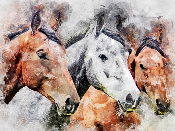 Horses Puzzle - Small - 10" x 13.5"Standard