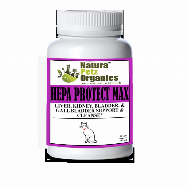 Hepa Protect Max Capsules - Liver, Kidney, Bladder & Gall Bladder Support & Cleanse* - CAT / 90 caps / 250 mg