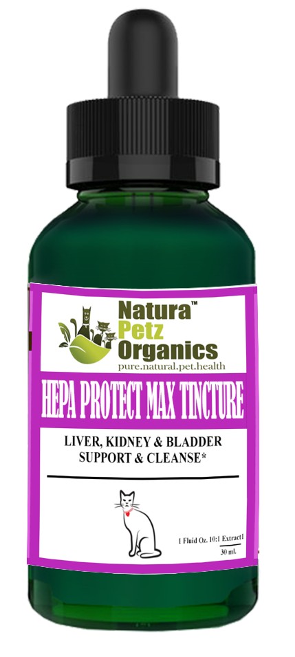 Hepa Protect Max Tincture* Master Blend Liver Kidney & Bladder Support & Cleanse 10:1 Extract*