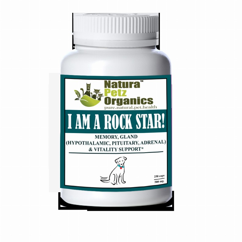 I Am A Rock Star - Memory, Gland (Hypothalamic, Pituitary And Adrenal) & Vitality Support* - DOG/ 250 caps / 500 mg