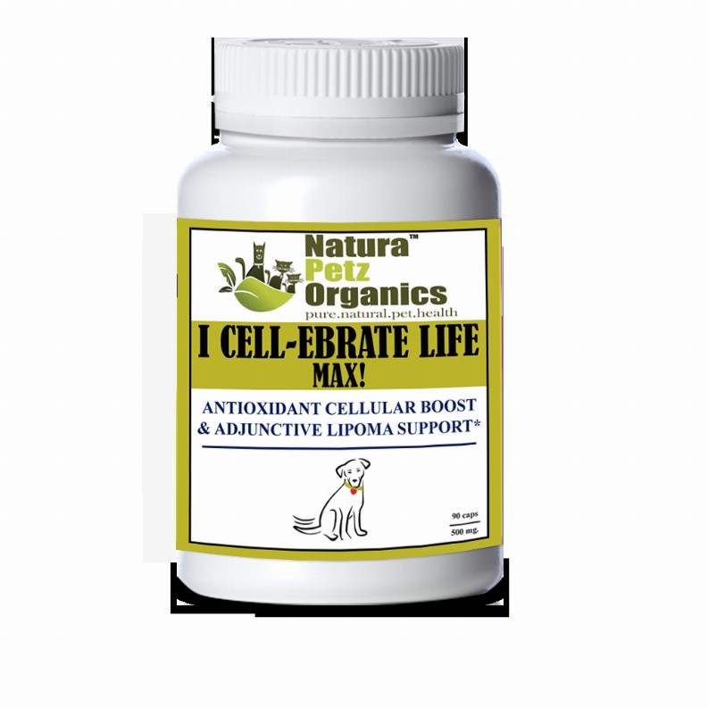 I Cellebrate Life Max - Antioxidant Cellular Boost + Adjunctive Lipoma Support* - DOG/ 90 caps / 500 mg