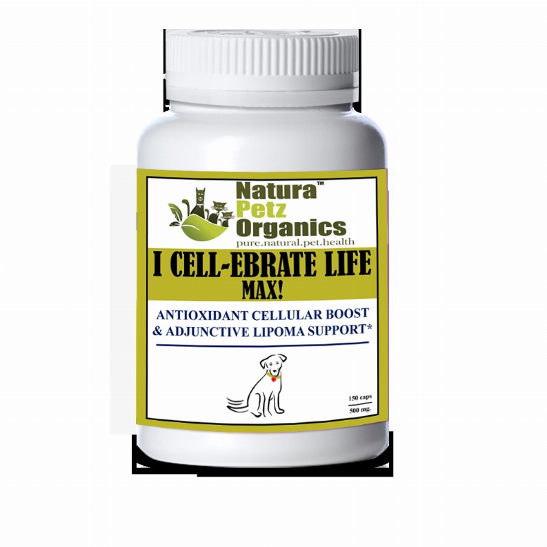 I Cellebrate Life Max - Antioxidant Cellular Boost + Adjunctive Lipoma Support* - DOG/ 150 caps / 500 mg