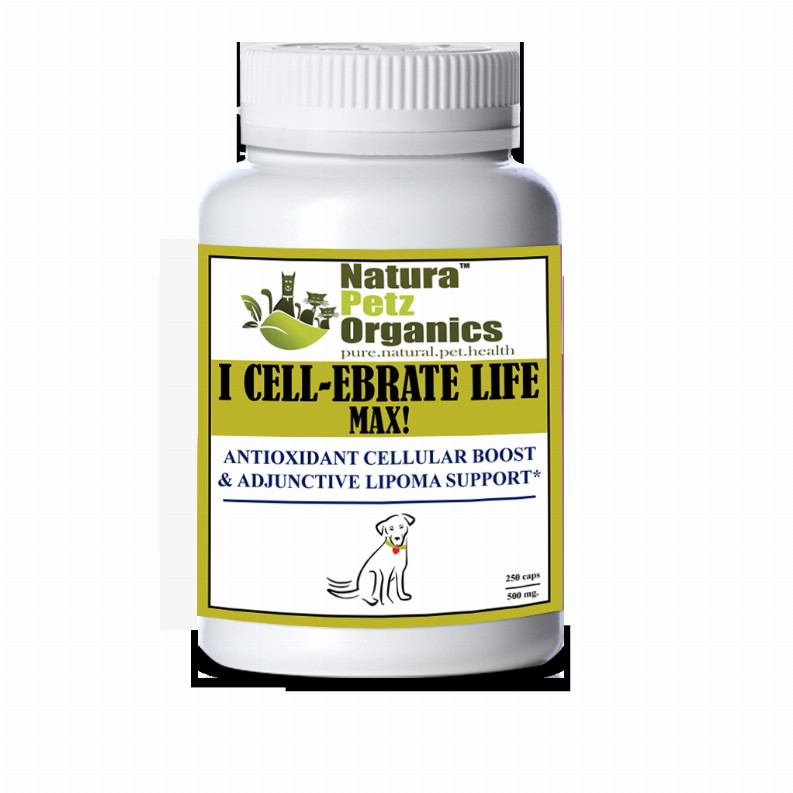 I Cellebrate Life Max - Antioxidant Cellular Boost + Adjunctive Lipoma Support* - DOG/ 250 caps / 500 mg