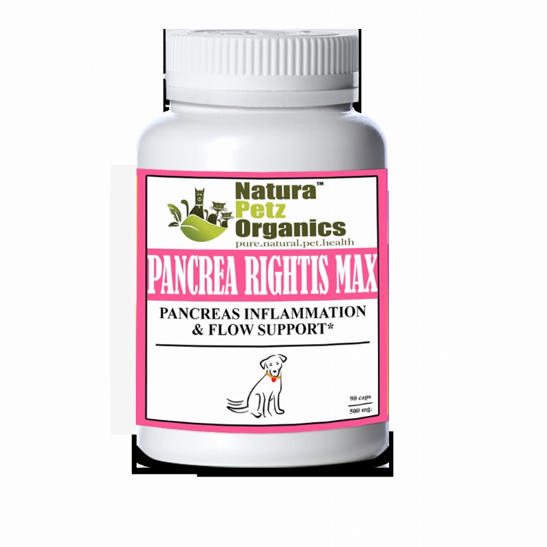 Pancrea Rightis Max Support* Capsules Pancreas Inflammation & Flow Support Dogs Cats* - DOG - 90 caps / 500 mg