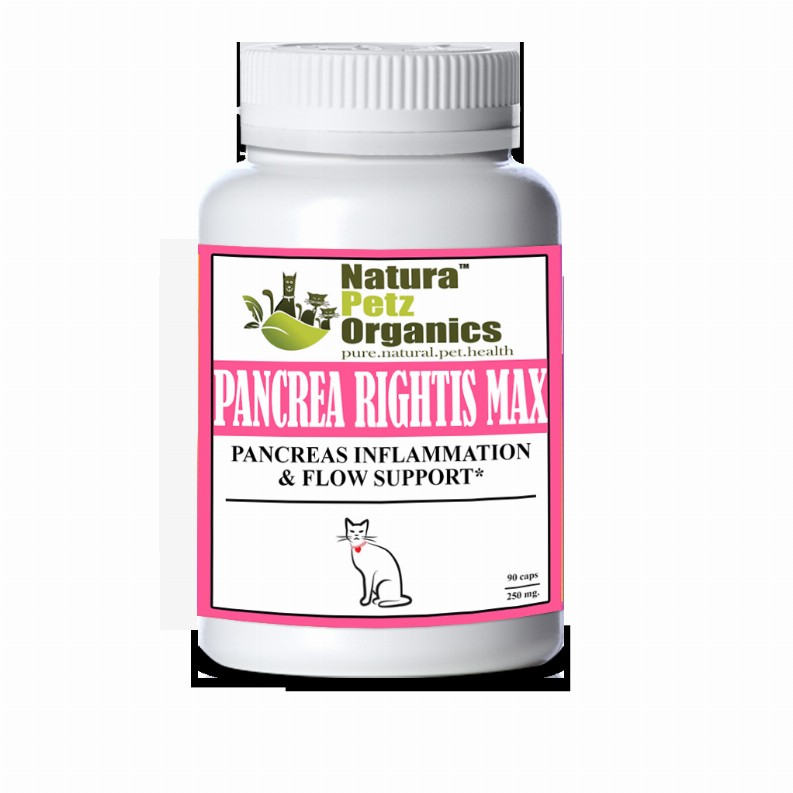 Pancrea Rightis Max Support* Capsules Pancreas Inflammation & Flow Support Dogs Cats* - CAT - 90 caps / 250 mg