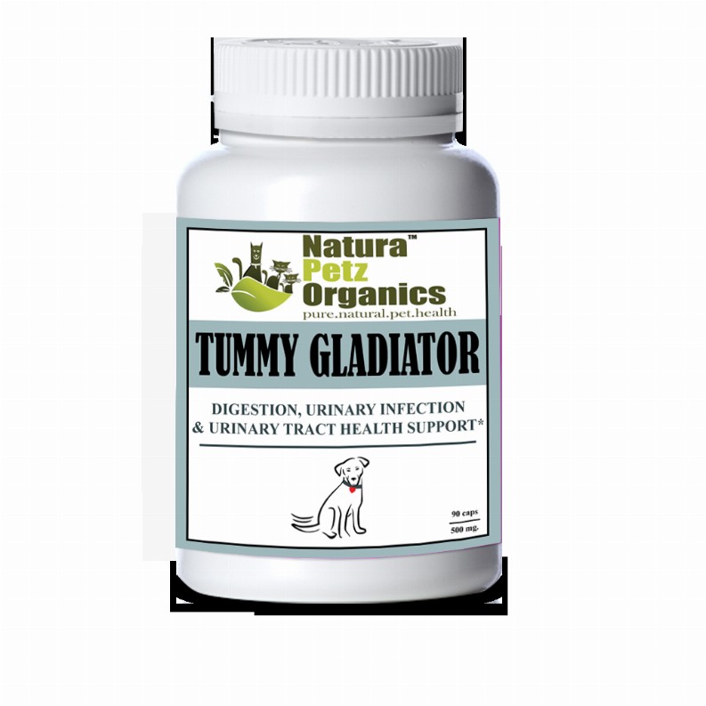 Tummy Gladiator - Digestion, Adjunctive Reflux & Urinary Tract Support* Dog / 250 caps / 500 mg/ Size 1 