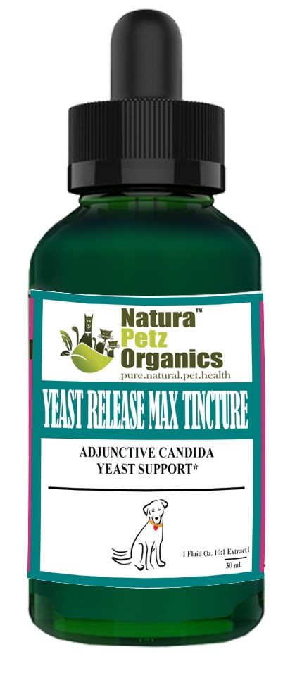 Yeast Release Max Tincture* Adjunctive Candida Yeast & Immune Support* Dogs Cats