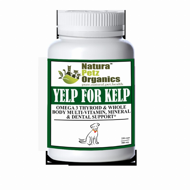 Yelp For Kelp - Omega 3 & 6 Thyroid & Whole Body Multi-Mineral, Vitamin & Dental Support* - DOG/ 250 caps / 500 mg / Size 1