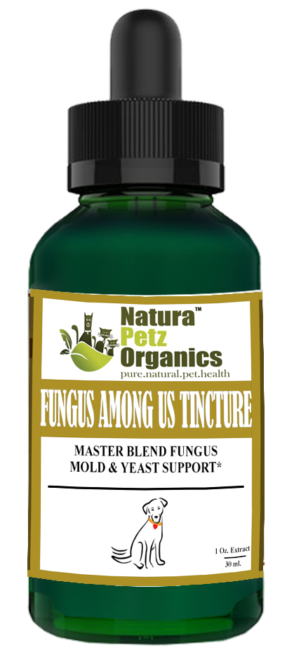 Fungus Among Us Tincture* - Master Blend Fungus,  Mold & Yeast Support* For Dogs And Cats
