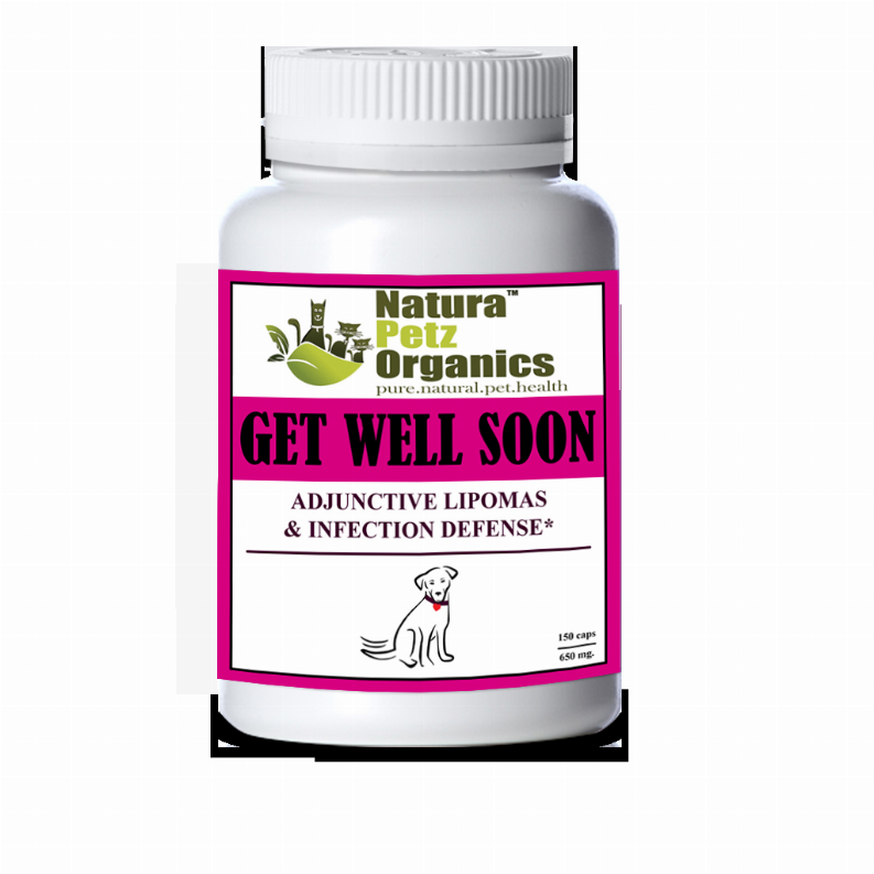 Get Well Soon - Adjunctive Lipoma + Infection Defense* DOG/ 150 caps / 650 mg 