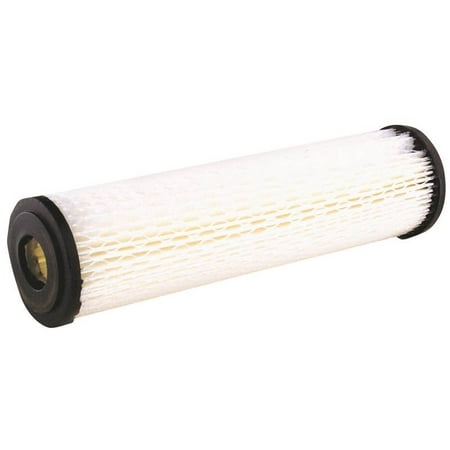 Rs1-Ds3-S18 2Pk Paper Filter