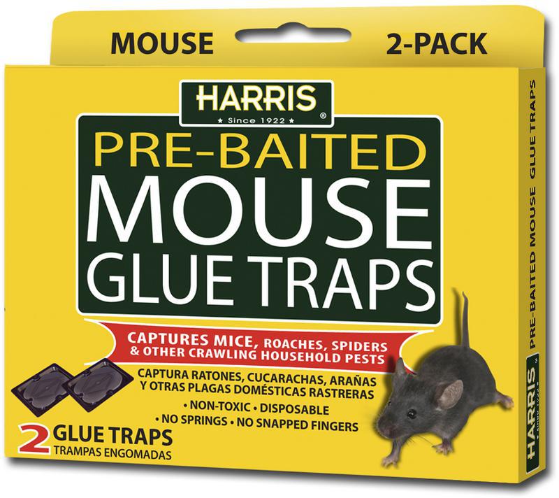 HMG-2 2 Pk Mouse Glue Trap