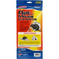 PIC GRT2F Glue Rat Boards, 2 pk