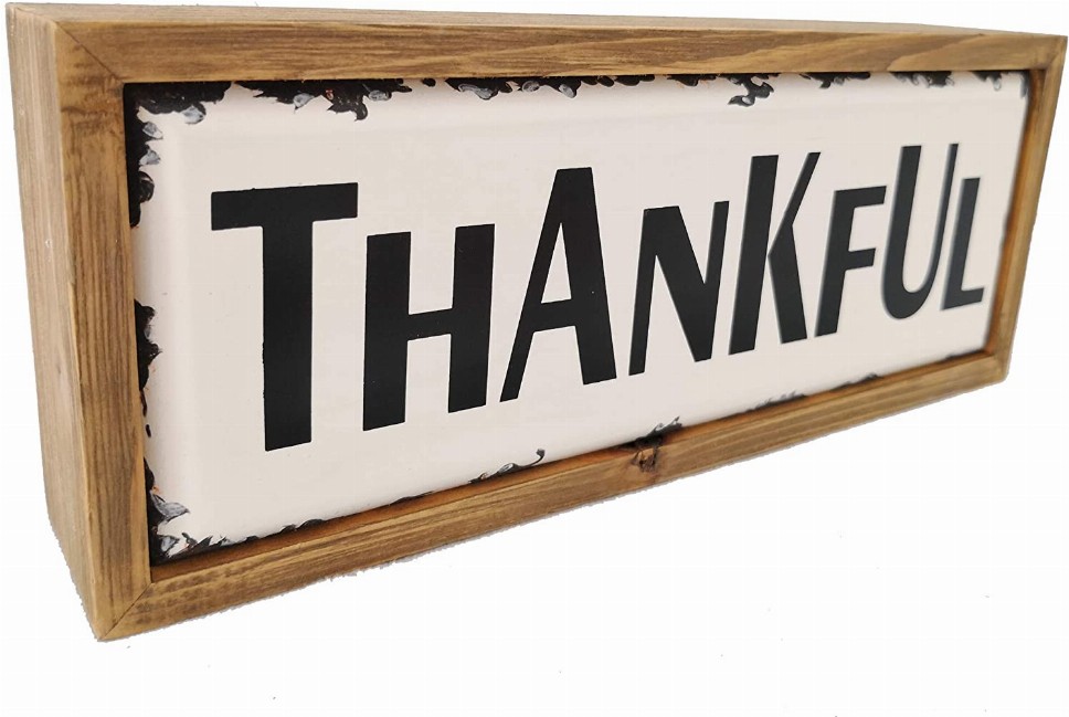 Thankful Enamel Surface Decorative Shelf Sitter Inspirational Wood Block Sign Table Top Decor Plaque 10 x 2 x 3.75 inches (Natur