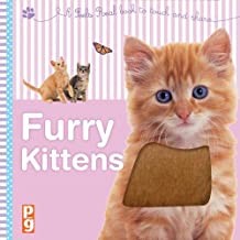 Feels Real - FURRY KITTENS: With irresistIble touch-and-feel textures (Age 0-4)