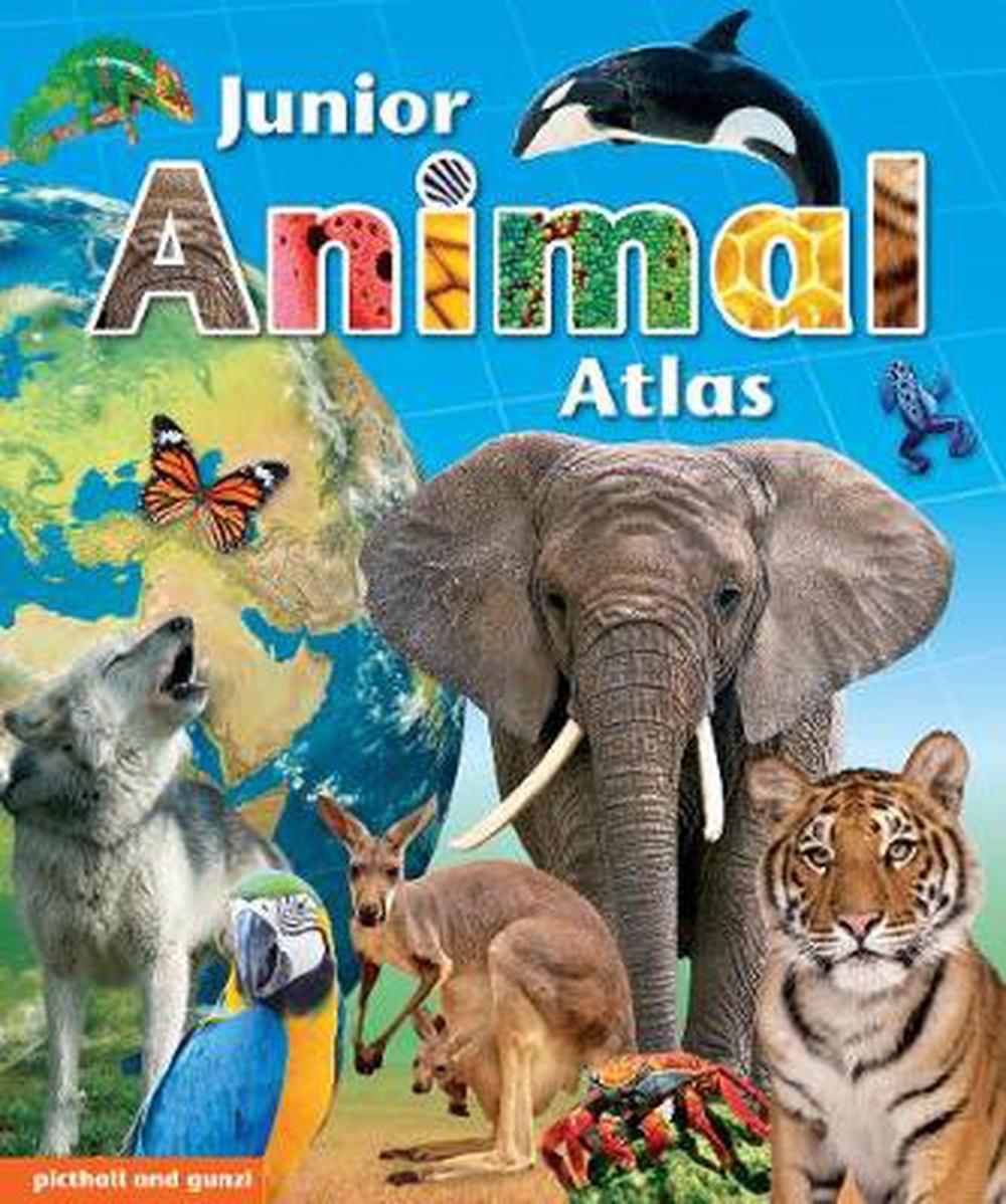 Junior Animal Atlas: A perfect introduction to the world of animals (Age 7+)