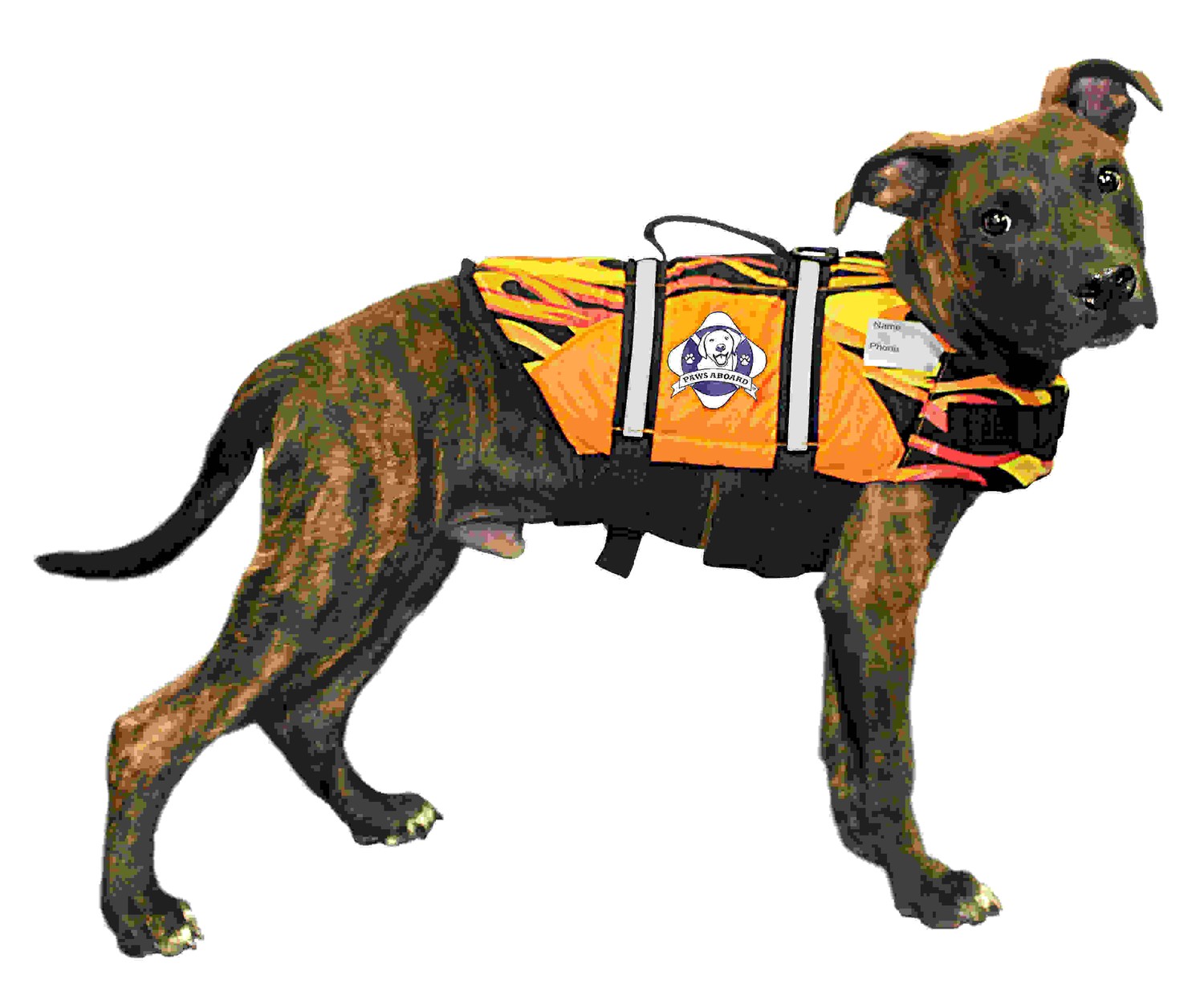 Doggy Life Jacket M Flames