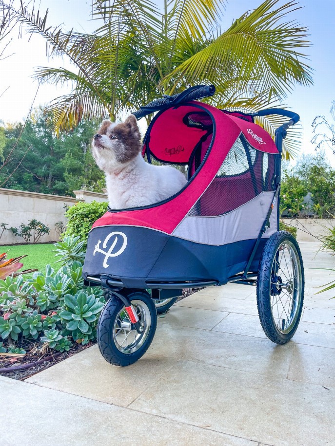 Trailblazer Pet Jogger - Mars