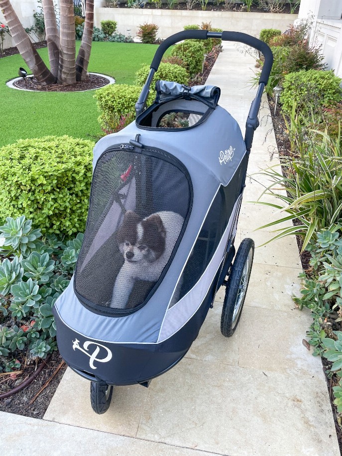 Trailblazer Pet Jogger - Space Gray