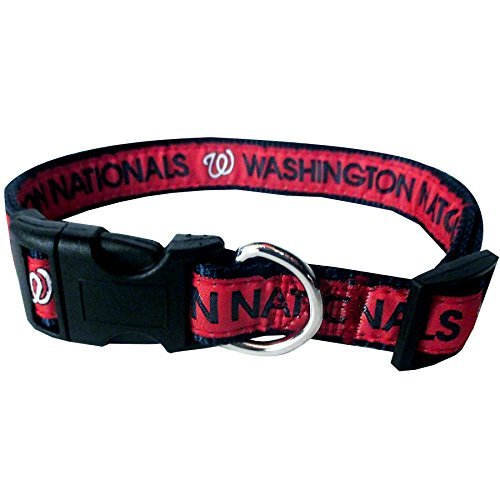 Washington Nationals Collar- Ribbon