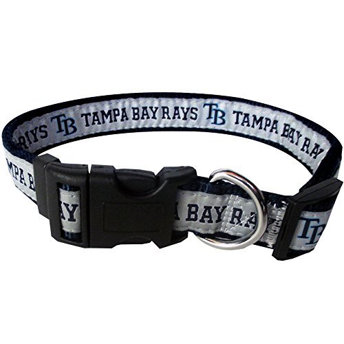 Tampa Bay Rays Collar- Ribbon