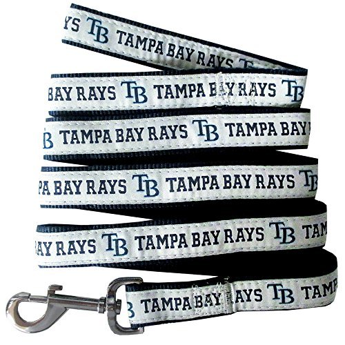Tampa Bay Rays Leash- Ribbon