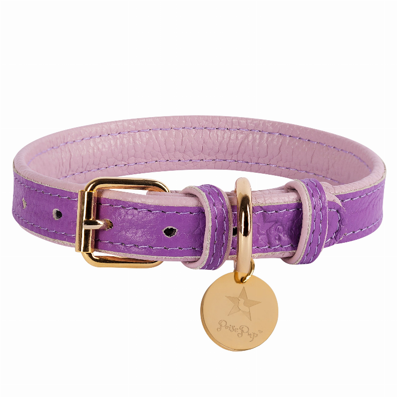 Dog Collar - Small Lavish Lavender