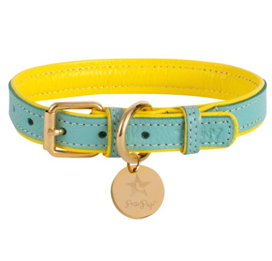 Dog Collar - Large Sunshine Babe