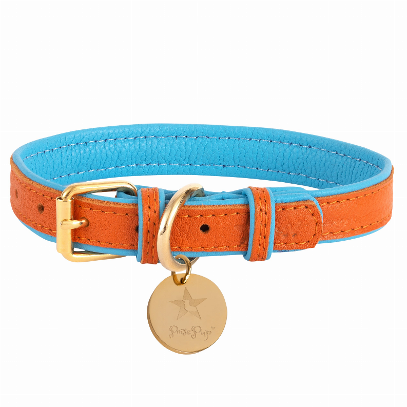 Dog Collar - XL Vibrant Sunset