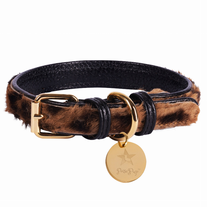 Dog Collar - Large Wildest One