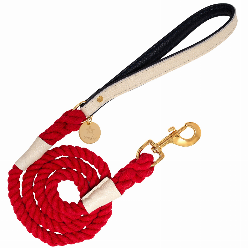 Dog Leash Hot Marine