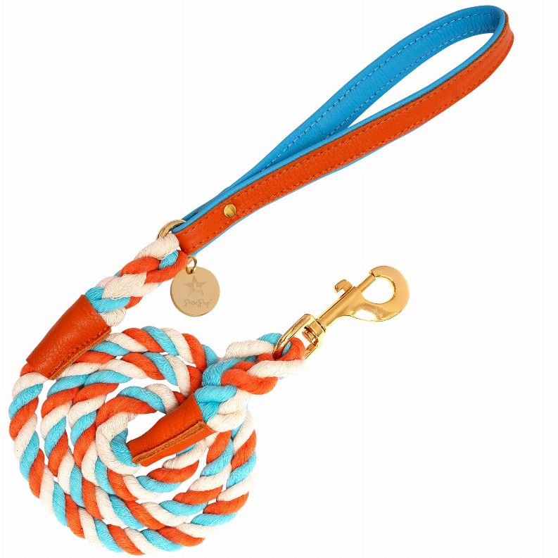 Dog Leash Vibrant Sunset