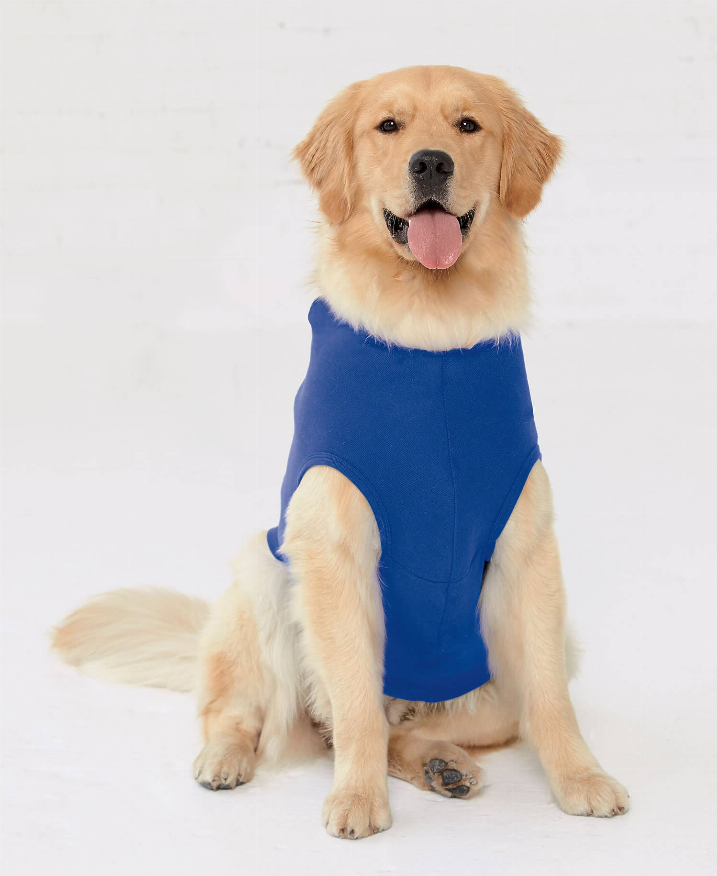 Doggie Skins Gameday Hoodie - M Blue