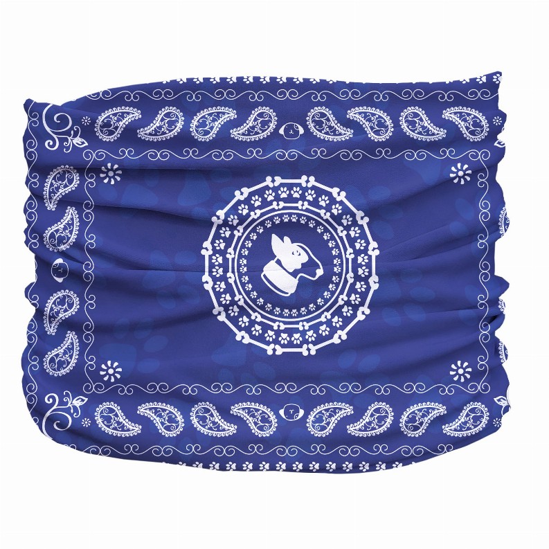 Bandana Pup Scruff - XS Blue