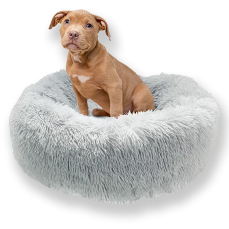 Donut Dog Bed Medium Black and Grey