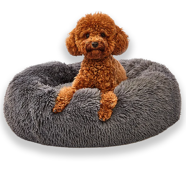 Donut Dog Bed Large Pink