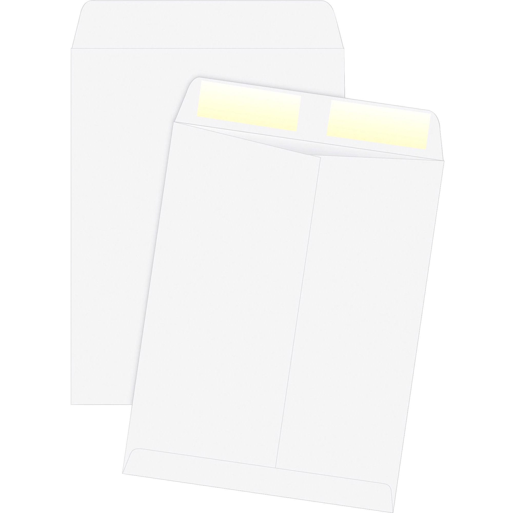 Quality Park White Plain Catalog Envelopes - Catalog - #10 1/2 - 9" Width x 12" Length - 24 lb - Gummed - Wove - 250 / Box - Whi