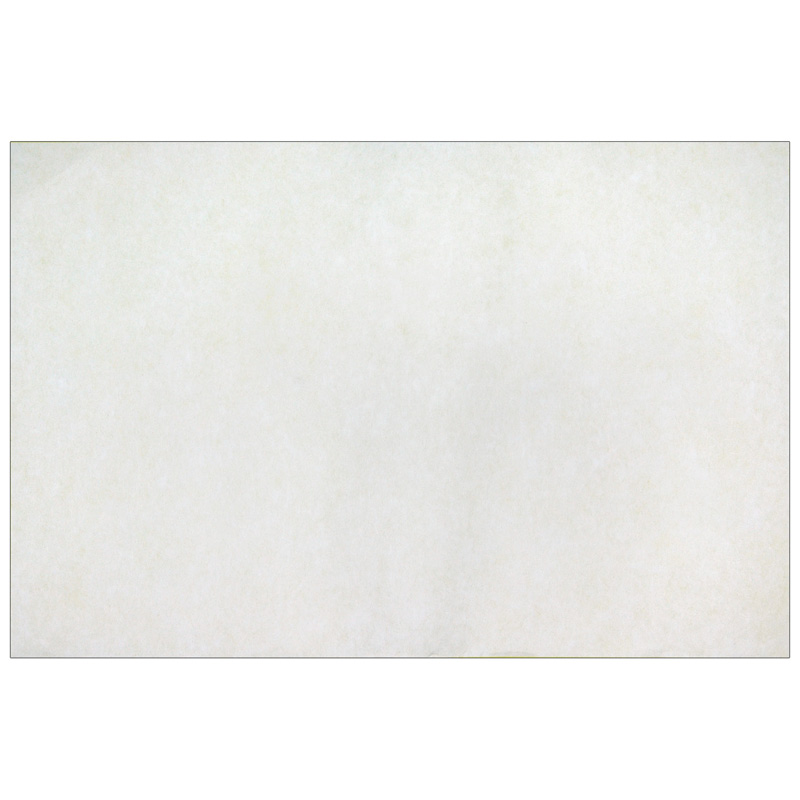 Color Diffusing Paper, 9" x 12", 50 Sheets