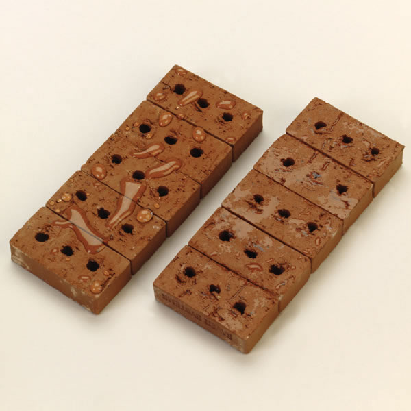 ChimneySaver Sample Demonstration Bricks Set Of 10