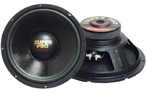 Pyramid 10" Super Pro Subwoofer