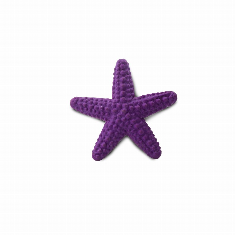 Starfish