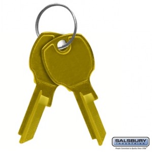 Key Blanks - for Standard Locks of 4C Horizontal Mailboxes - Box of (50)