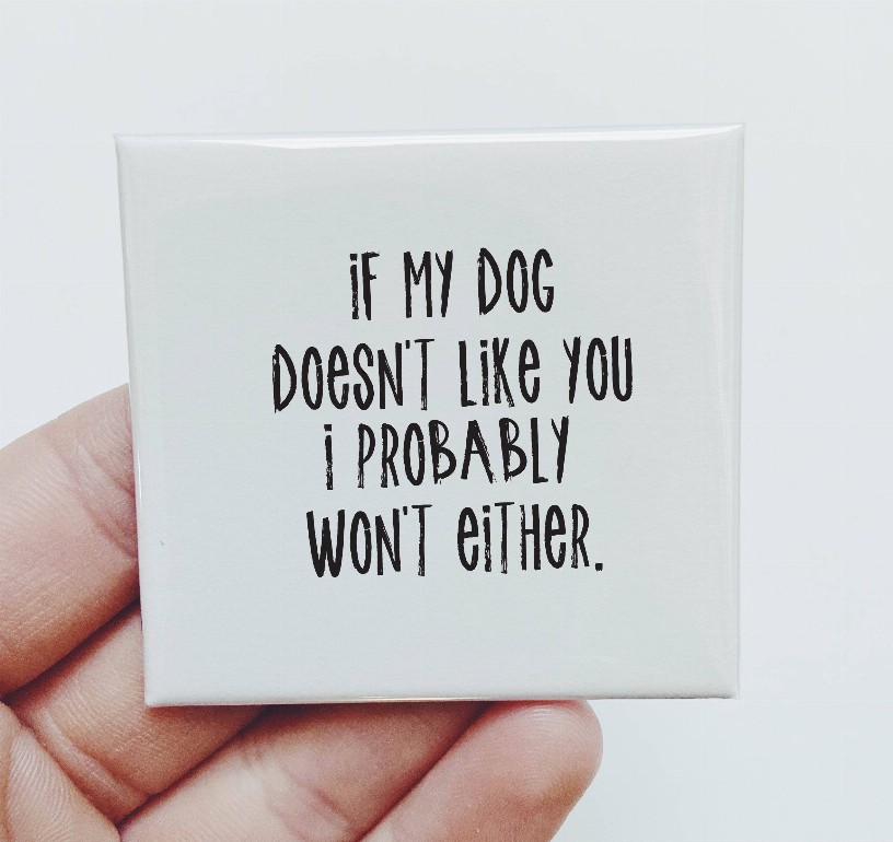 If My Dog Doesn't Like You I Probably Won'T Either Magnet