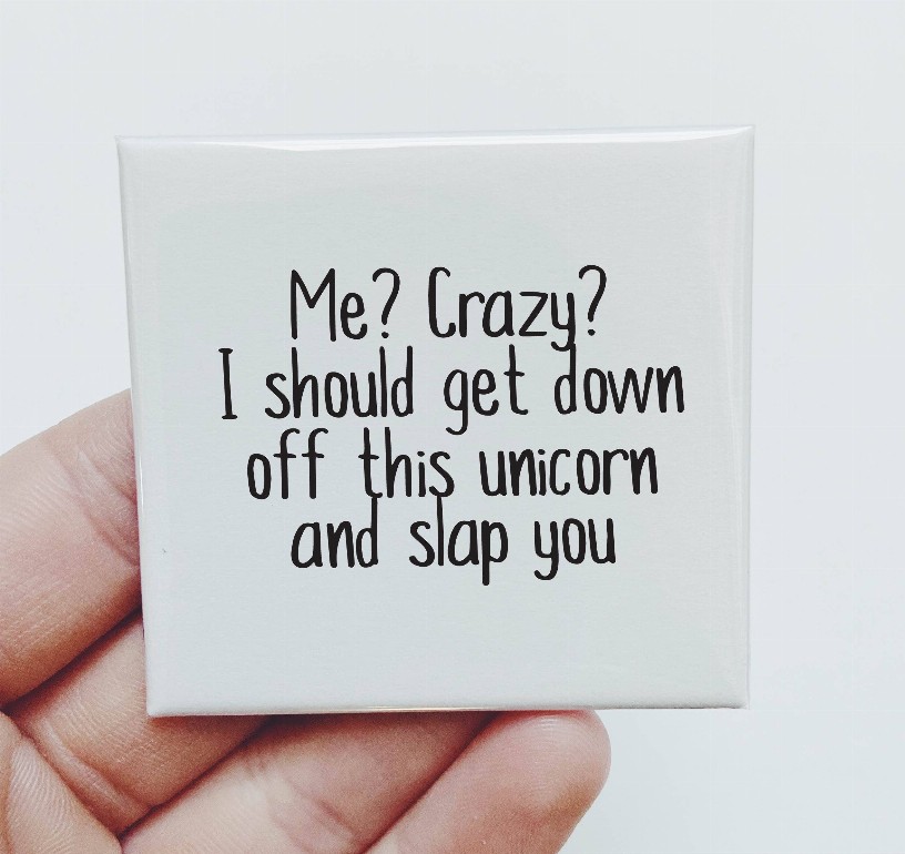 Me Crazy. I Should Get Down Of This Unicorn And Slap You Magnet