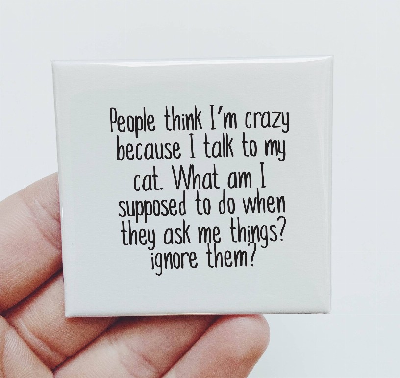 People Think I'm Crazy Because I Talk To My Cat Magnet