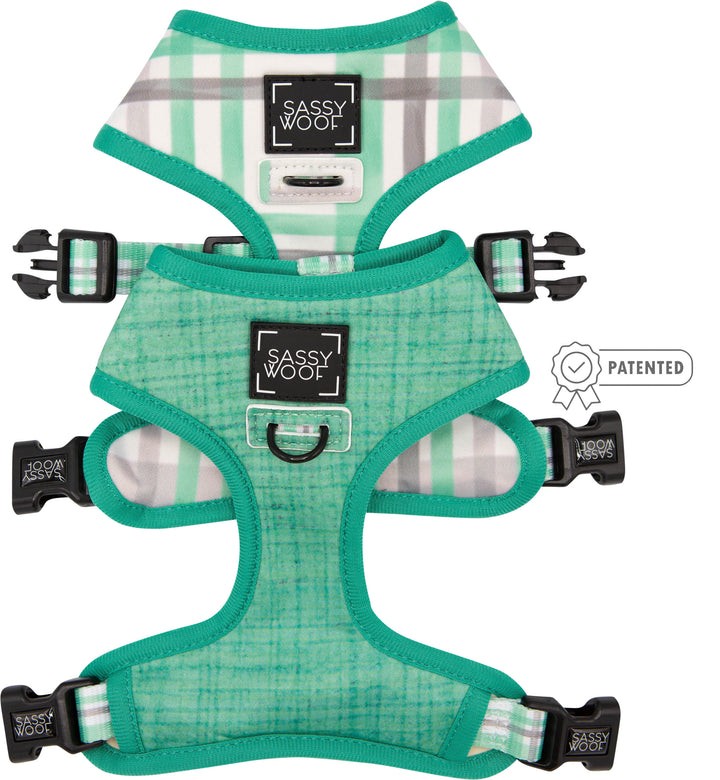 Reversible Harness - Small Teal