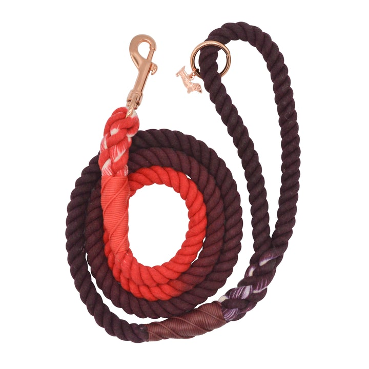 Rope Leash  5 Feet Multi  ruby